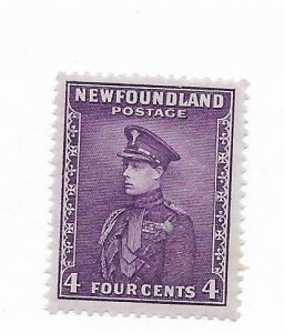 Newfoundland #188 MNH VF - Stamp