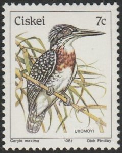 South Africa-Ciskei #11 1981 7c Giant Kingfisher MNH.