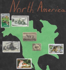 North America. Topical. Animals of North America used on piece.