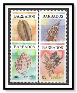 Barbados #936-939 Sea Shells Set MNH