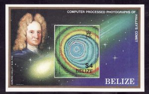 Belize-Sc#814- id9-unused NH sheet-Space-Halley's Comet-1986-