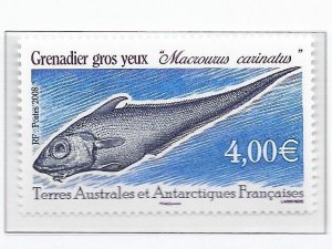 French Southern & Antarctic Territory Sc 402 NH ISSUE OF 2008 - SEA LIFE