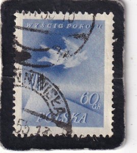 Poland,  #   unidentified     used