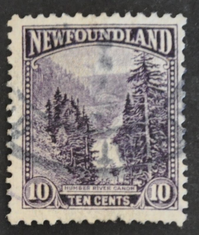 DYNAMITE Stamps: Newfoundland Scott #139 – USED