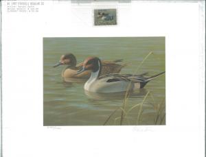 ARIZONA #1 1987 DUCK STAMP PRINT EXECUTIVE  ED PINTAILS by Daniel Smith Reg $350