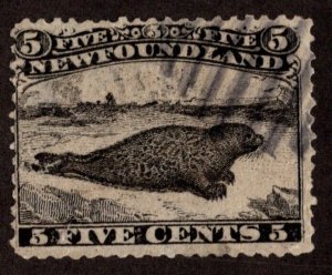 KAPPYSstamps  CANADA NEWFOUNDLAND SCOTT 26 $.02 BLACK USED F CV $125 SB7