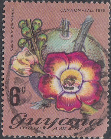 Guyana #137   Used