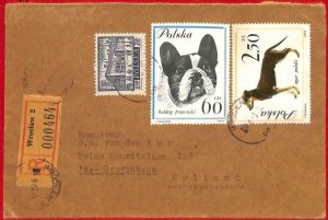 aa3150 - POLAND - POSTAL HISTORY -  REGISTERED COVER to HOLLAND 1963 Dogs