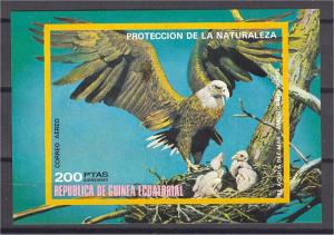 EQ. GUINEA, BIRDS, EAGLE, SOUVENIR SHEET NH **!