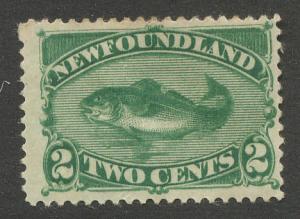 Newfoundland Scott 47 F OG