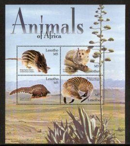 Lesotho 2004 - Animals - Sheet of 4 Stamps - Scott #1342 - MNH