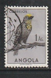 1951 Angola - Sc 338 - used VF - single - Yellow-fronted barbet