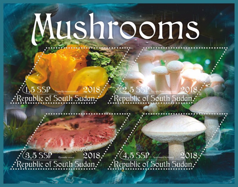 Stamps.  Mushrooms  2018 1+1 sheets perforated