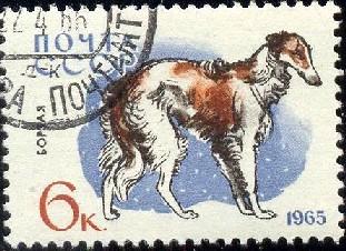 Dog, Borzoi, Russia Stamp SC#3006 Used