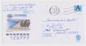 Postal stationery Rossija 1999 Musk ox