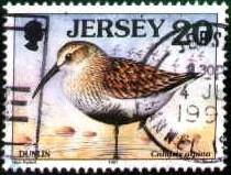 Bird, Dunlin, Jersey stamp SC#781 used