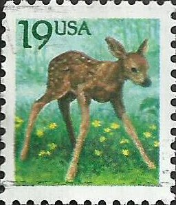 # 2479 USED FAWN    