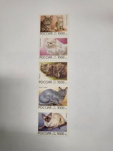 Stamps Russia Scott #6311 nh