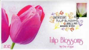 23-075, 2023, Tulip Blossoms, First Day Cover, Digital Color Postmark, Wooburn O