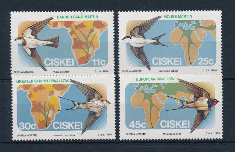 [52377] Ciskei 1984 Birds Vögel Oiseaux Ucelli Swallow MNH