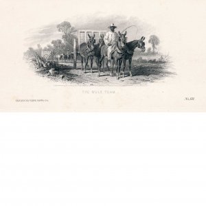 “The Mule Team”, Vignette Die Proof, American Bank Note Co. 1860, George Thomas