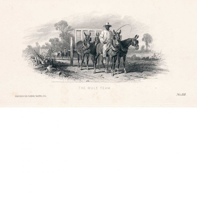 “The Mule Team”, Vignette Die Proof, American Bank Note Co. 1860, George Thomas