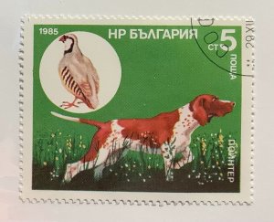 Bulgaria 1985 Scott 3128 CTO - 5c, Hunting dog, Pointer & Chukar Partridge