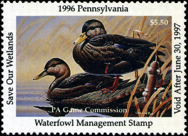 PENNSYLVANIA #14 1996 BLACK DUCKS  STATE DUCK STAMP by Gerald Putt