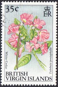 British Virgin Islands #701      Used