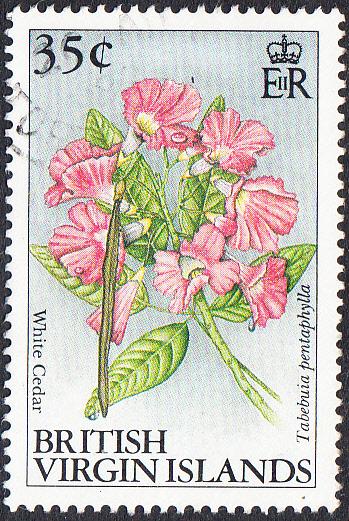 British Virgin Islands #701      Used