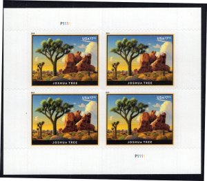 U.S. - 5347 - Joshua Tree - Complete Sheet of 4 - EXTRA FINE - Never Hinged