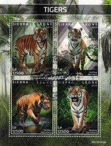 SIERRA LEONE 2019 - Tigers / minisheet