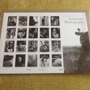 #3649  American Photography