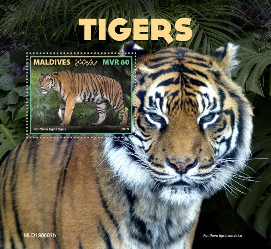 MALDIVES - 2019 - Tigers - Perf Souv Sheet - MNH