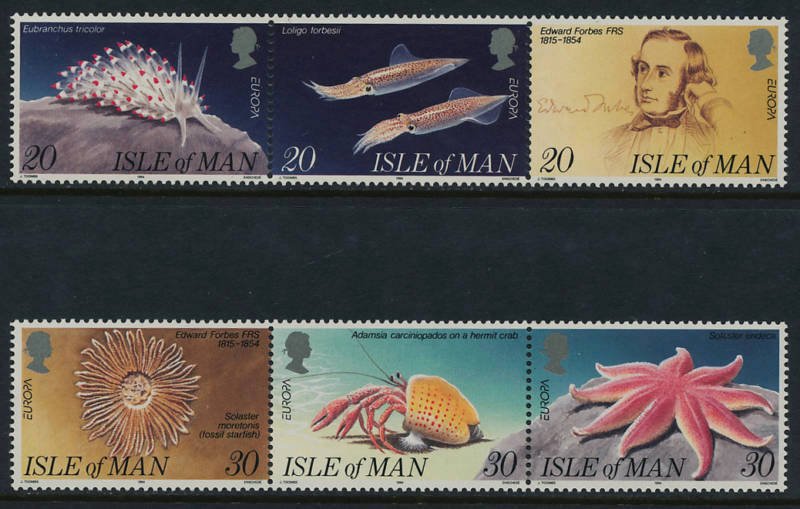 Isle of Man - 1994 ,Europa Marine life MNH set # 594-599