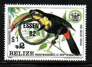 Belize-Sc#616- id9-unused NH set-Birds-Essen '82-Stamp Exhibition-1982-