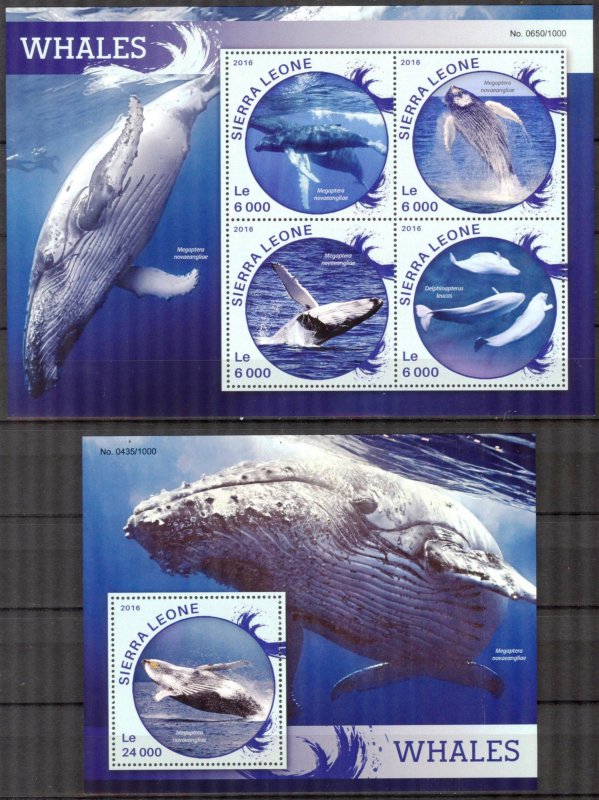 Sierra Leone 2016 Marine Life Whales Sheet + S/S MNH