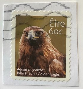 Ireland 2013 Scott 1991 used on paper - 60c,  Wildlife, Golden Eagle