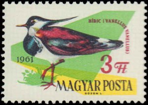 Hungary #1426-1433, Complete Set(8), 1961, Birds, Never Hinged