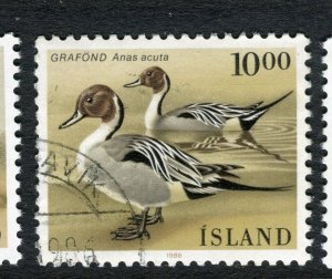 ICELAND; 1980s early Birds issue fine used 10k. value