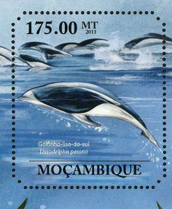 Dolphins Stamp Stenella Longirostris Tursiops Truncatus S/S MNH #5007 / Bl.517