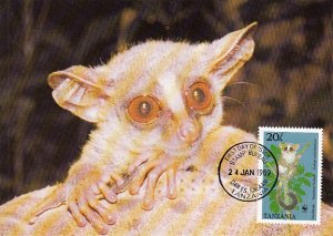 Tanzania 1989 Maxicard Sc #470 20sh Zanzibar galago WWF