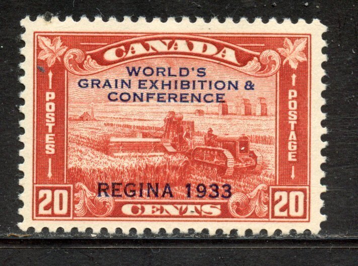 Canada # 203, Mint Never Hinge. CV $ 80.00