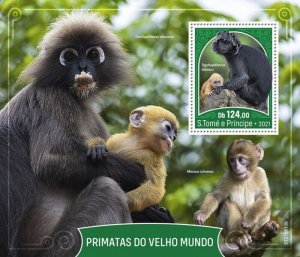 St Thomas - 2021 Old World Monkeys - Stamp Souvenir Sheet - ST210513b