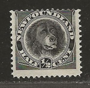 NEWFOUNDLAND  SC# 58  AVF/MNG