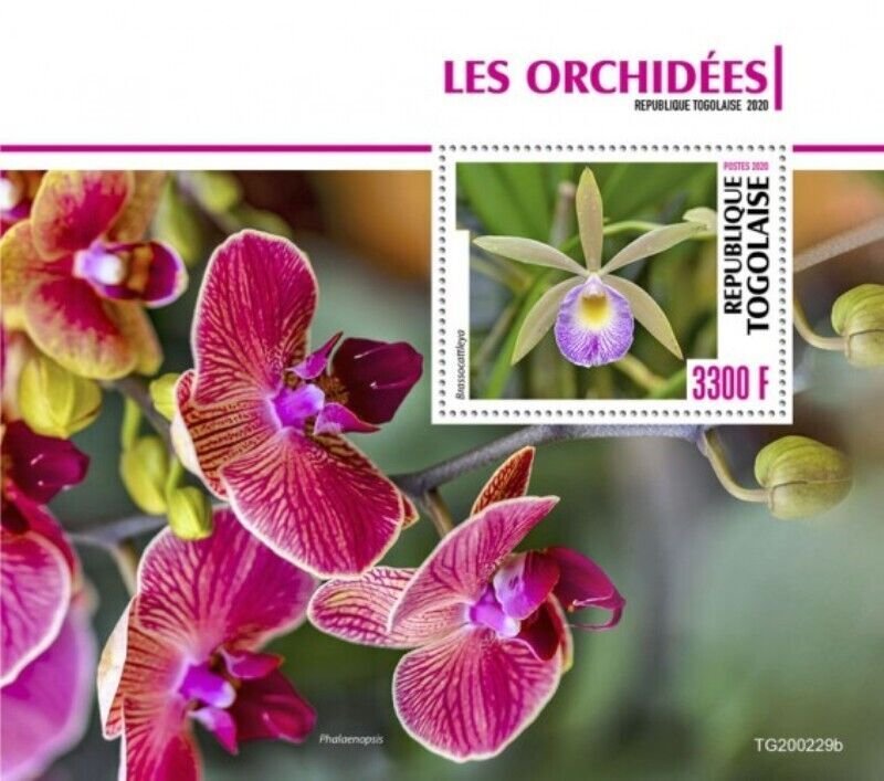 Togo - 2020 Orchid Flowers on Stamps - Stamp Souvenir Sheet - TG200229b