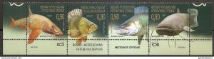 BOSNIA (Serbia) 2019 FAUNA Animals FISH - a wonderful set of MNH