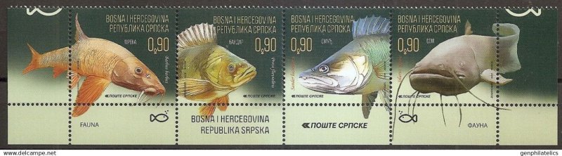 BOSNIA (Serbia) 2019 FAUNA Animals FISH - a wonderful set of MNH