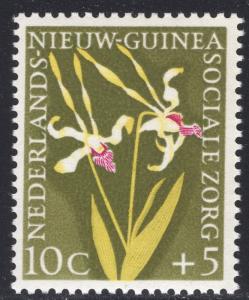 NETHERLANDS-NEW GUINEA SCOTT B20