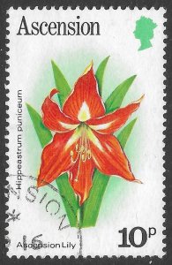 Ascension Scott 280 Used 10p Lily issue of 1981, Flower